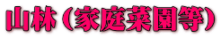 山林（家庭菜園等）
